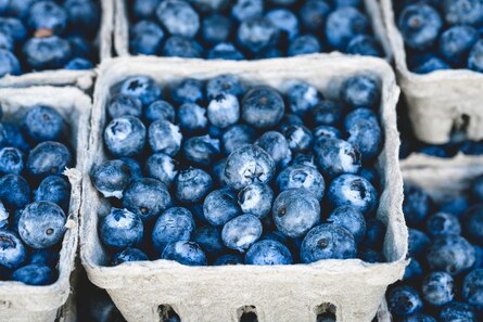 Foto: Heidelbeeren in einer Pappschale